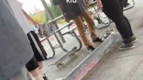Grown man assaults other kids at a skate park after they made fun of a Trans Person
