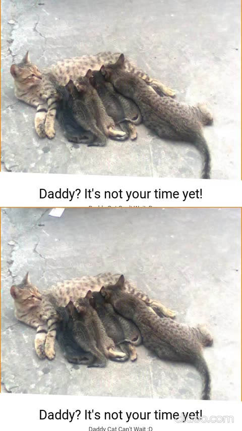 aceratndo cetena 895 920.mp4