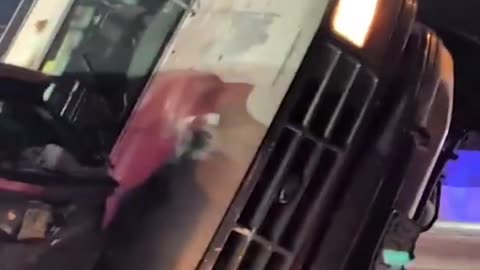 Tragedy on I-25: Colorado State Senator Faith Winter Killed in Highway Pileup