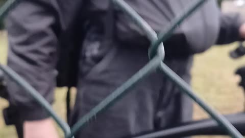 Sunflower smiles project settings off to deliver ❤️