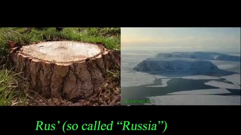 Many Mountains Are Actually Petrified Ancient Trees