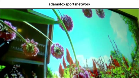 adamfoxsportsnetwork