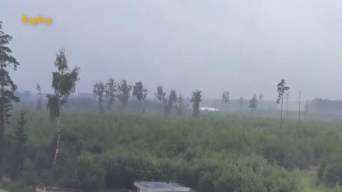 Qu'est-ce qu'il y a dans la forêt ? Un OVNI a-t-il atterri ici ?
