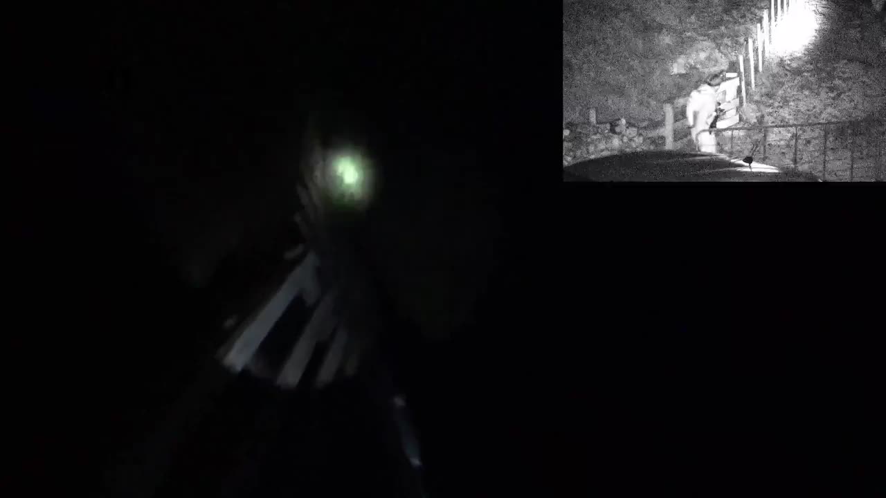 Quin shoots and kills a possum