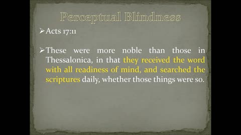 Perceptual Blindness