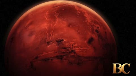 Elon Musk shares vision of Mars as ‘life insurance’ for humanity