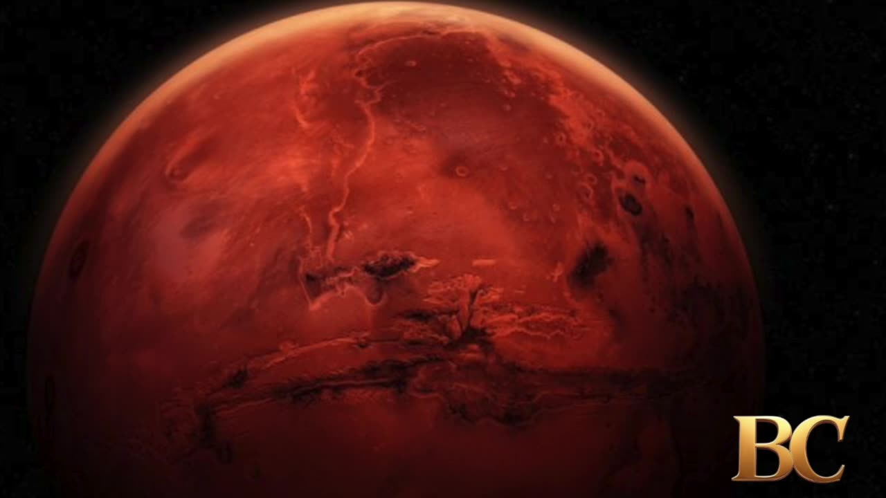 Elon Musk shares vision of Mars as ‘life insurance’ for humanity