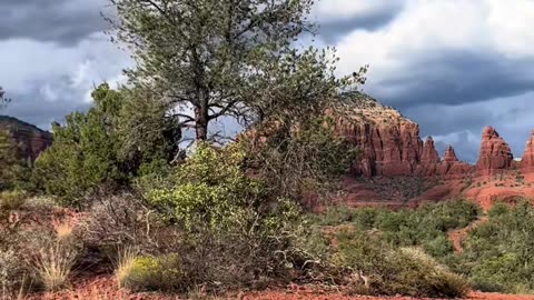 Arizona