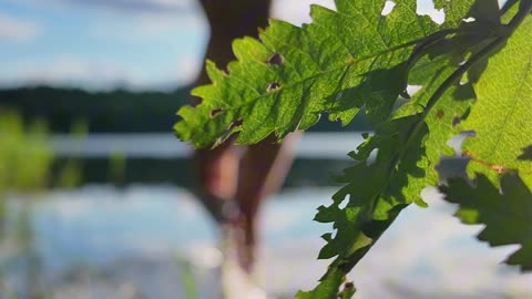 Skinny dipping in Finnish way