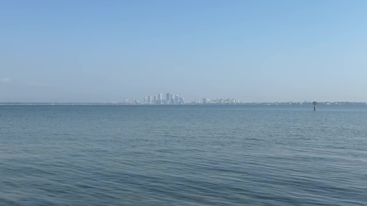 Beautiful Bayshore Boulevard Tampa Ambience