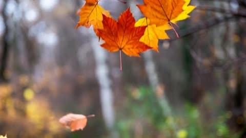 Hope December is good