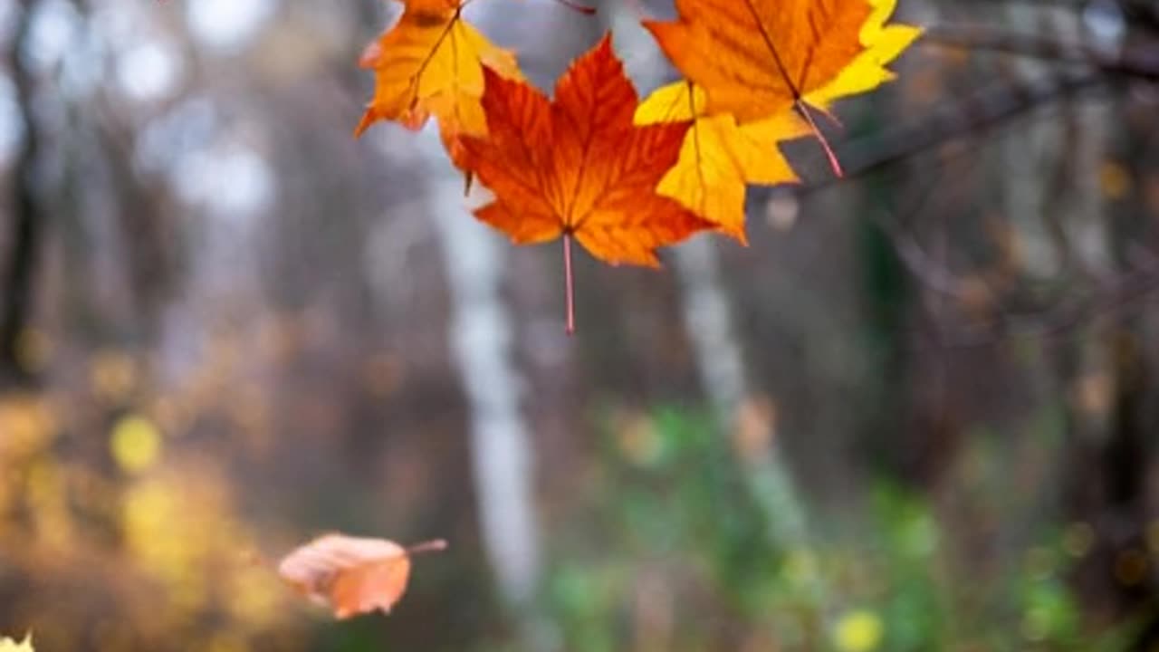 Hope December is good