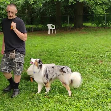 Shaping the Heel cue short 9