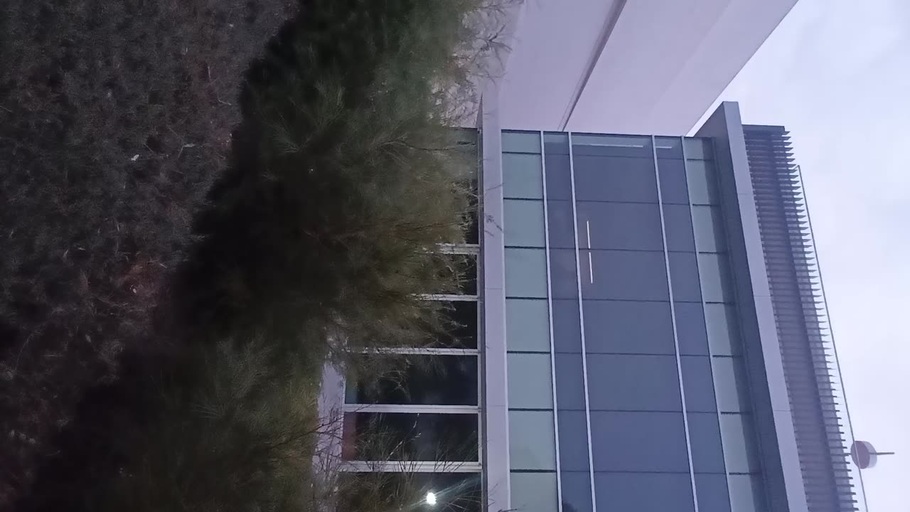 VID 20241126 062912