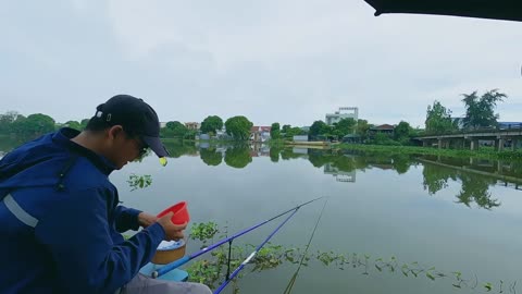 Eel Exploration A Global Mystery