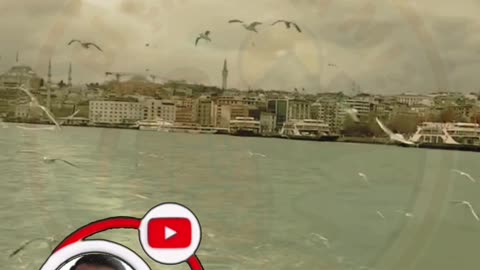 İstanbul’da Vapura Bindik, Martılara Simit Attık! 🛳️ Martıların Çılgın Anları!
