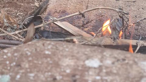 Light the stove with firewood