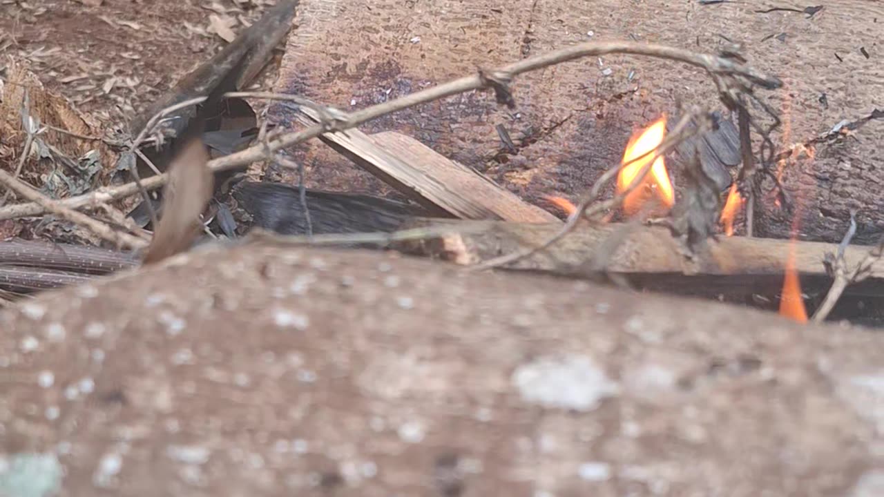 Light the stove with firewood