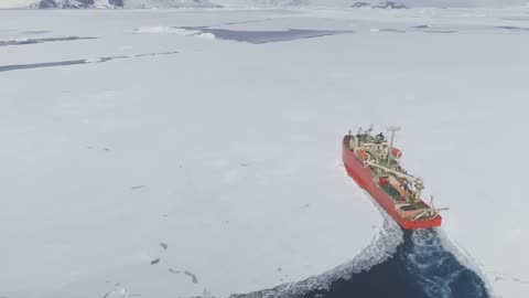 Trump Humiliated as He Has to Beg CANADA to Build US Fleets in the Arctic: What’s Next?