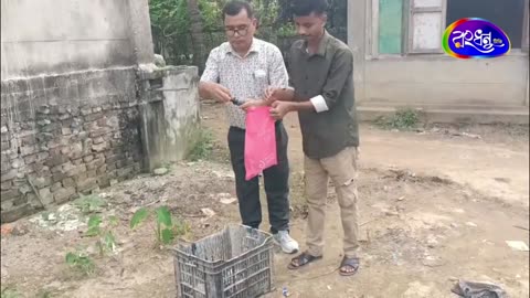 Sppert