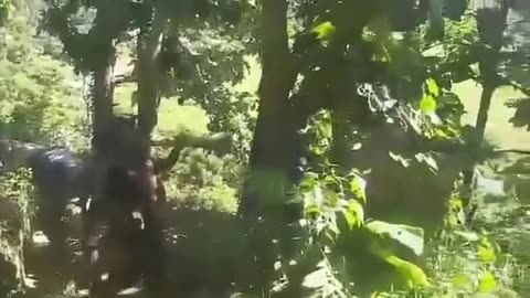 🏴‍⚐🏳️ Myanmar War | Resistance Takes Base in Sagaing Without Firing a Shot | RCF