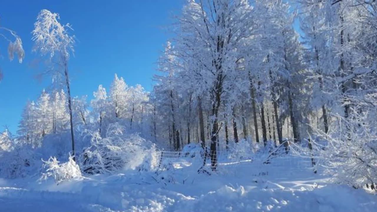 सर्दी में खुबानी खाने के फायदे #short #health #viarl