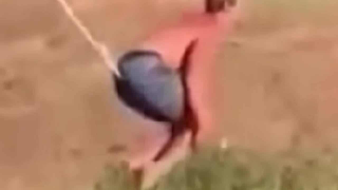 Accidentally Turned Into Spider-Man 😂🕷️"