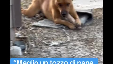 Meglio