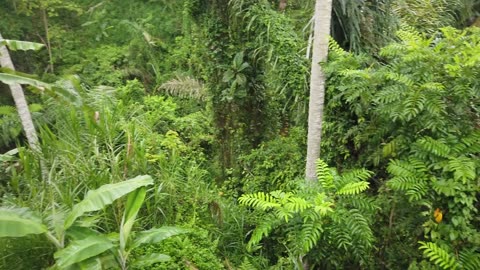 Ubud, Bali