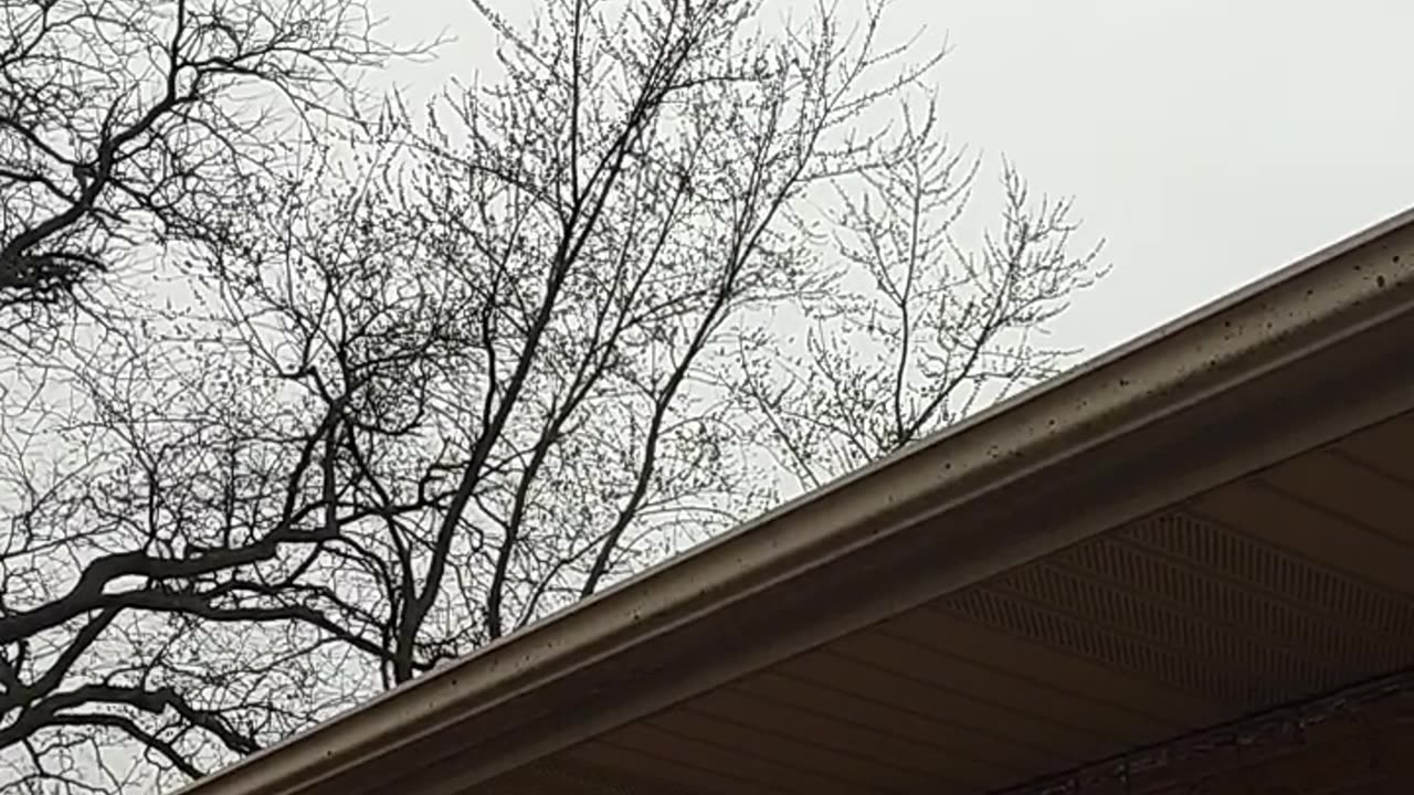 PLANES IN CRYSTAL LAKE