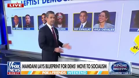 Socialists turn on Mamdani over Trump sit-down_ 'STANDARD CAPITALIST'