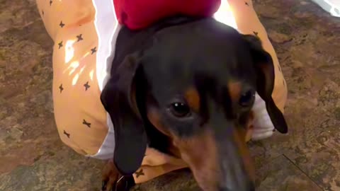 Sound Da Alarm!🥰😘