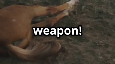 The Mongol Secret Weapon That Changed Warfare Forever (1-Minute History)