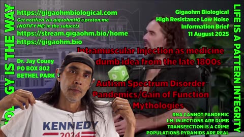 Gigaohm Biological High Resistance Low Noise Information Brief
