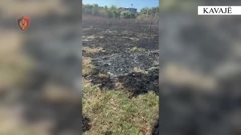 Ndalohen autorët e zjarreve që përfshinë pemët frutore në Kavajë dhe Rrogozhinë
