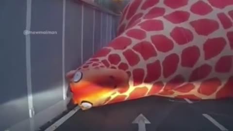 😂🚗 You Won't Believe How My Cute Car Friends Needed Me! | FunFM