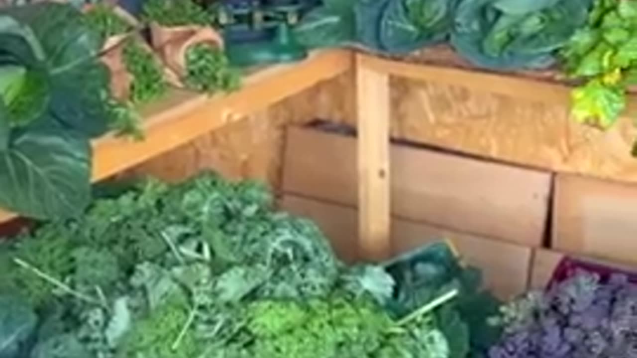 HOMESTEADING： WE HOMESTEAD TO AVOID BEING POISONED [2025-11]