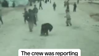 Children in a Syrian Refugee Camp Greet Reporter from Democratic Dump NBC with Flowers and Songs