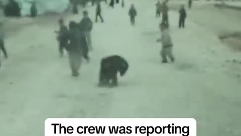 Children in a Syrian Refugee Camp Greet Reporter from Democratic Dump NBC with Flowers and Songs