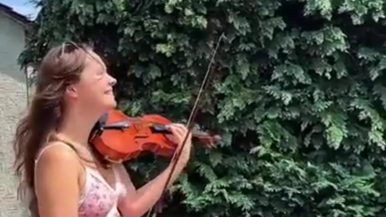 Bird Mimics the Violin