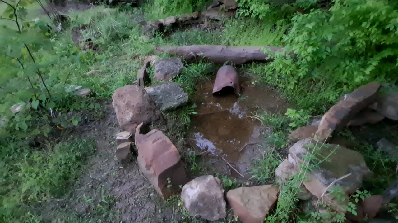 RAMMMMM RAMMMMMMM RAAMMMMMMMMM...by a pond...
