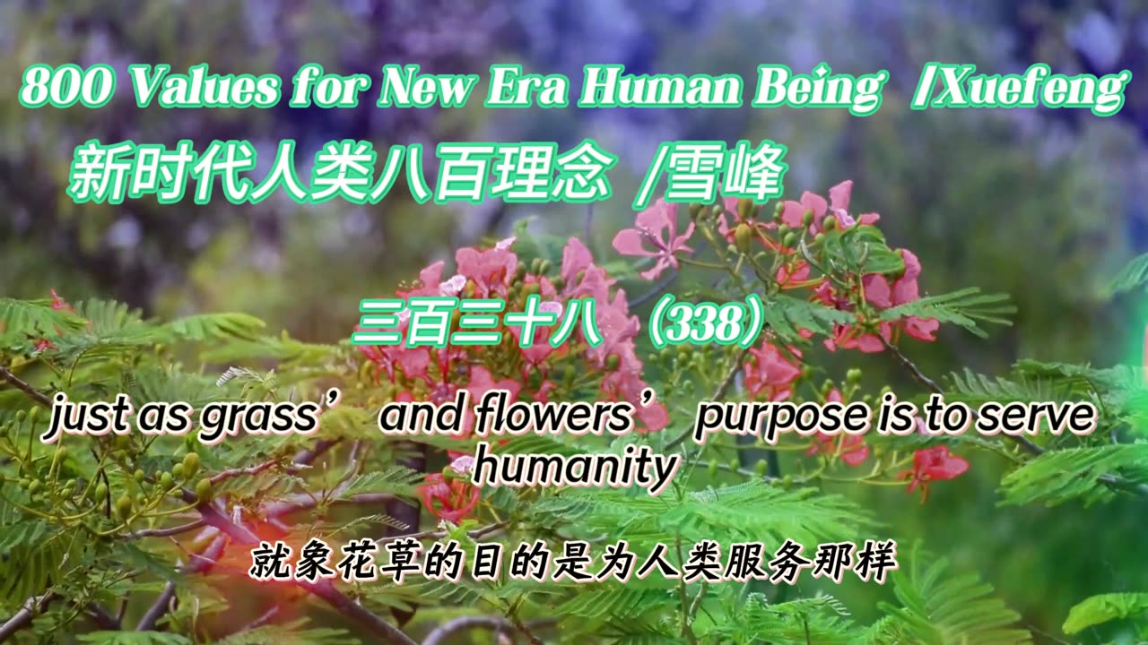 800 Values for New Era Human Being（338）
