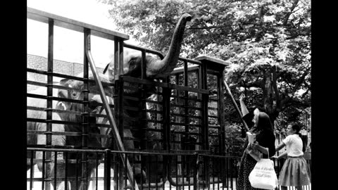 25 Fascinating Vintage Photographs That Capture Everyday Life in Central Park in the Summer of 1961