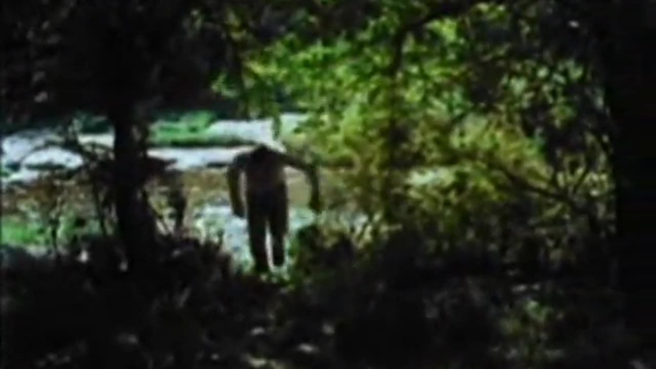 All the Kind Strangers (1974)