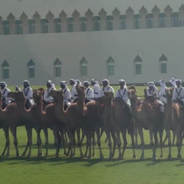 In Qatar from President Trump's motorcade!