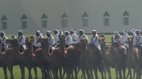 In Qatar from President Trump's motorcade!