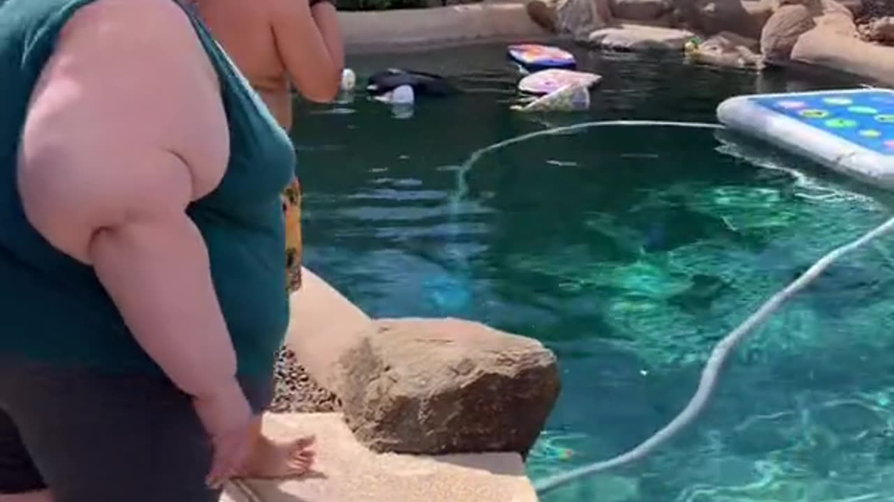 Her consistency for weight loss is admirable