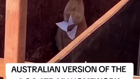 friday afternoon in australia