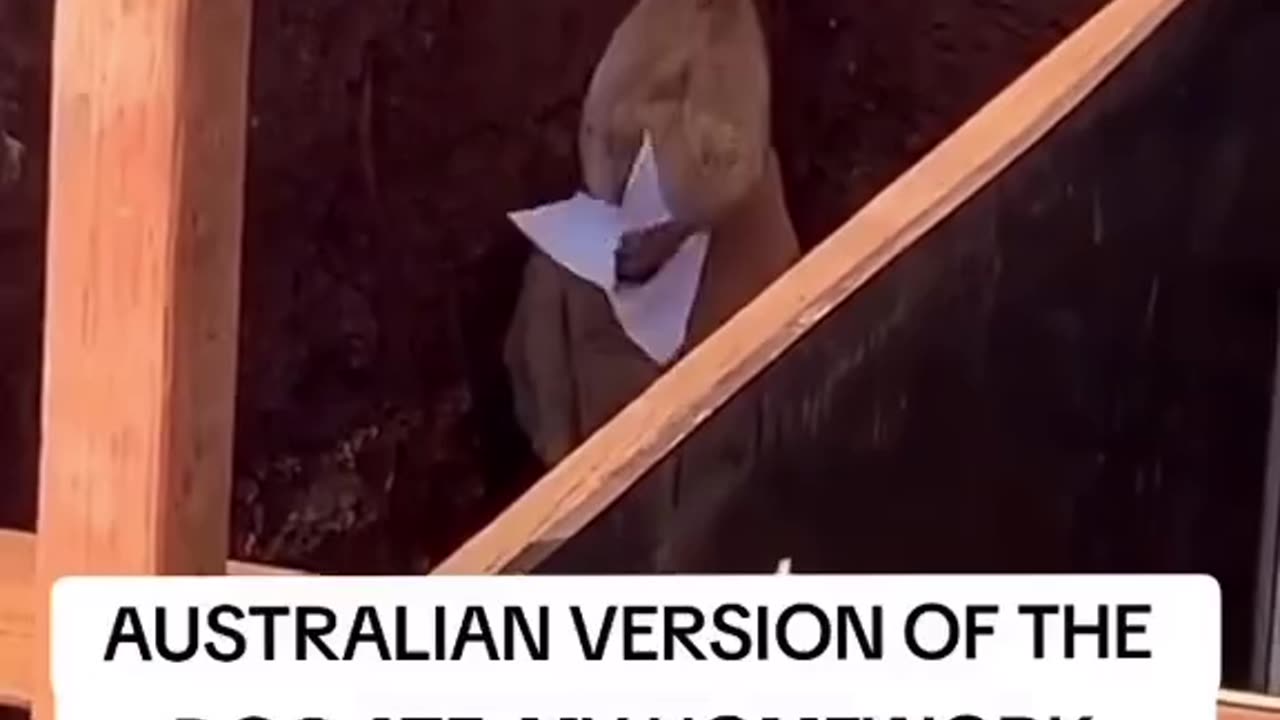 friday afternoon in australia