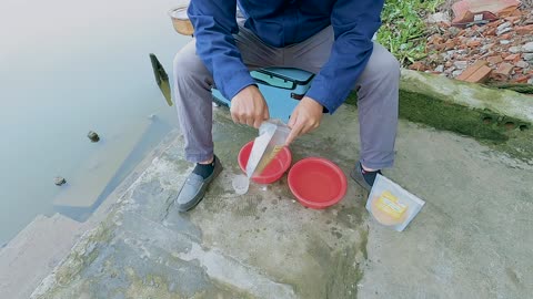 Fische im Strom Abenteuer am Fluss